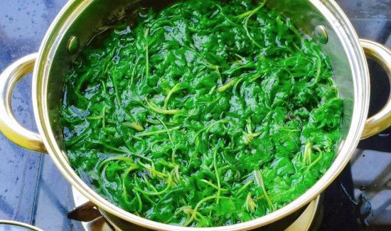 刚摘的艾叶能洗澡吗