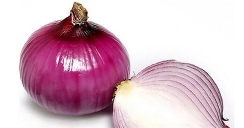 家里消灭蟑螂小妙招  蟑螂怎么消灭！