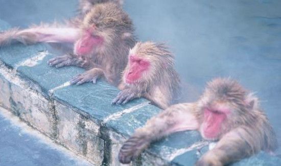 夏天可以泡温泉么