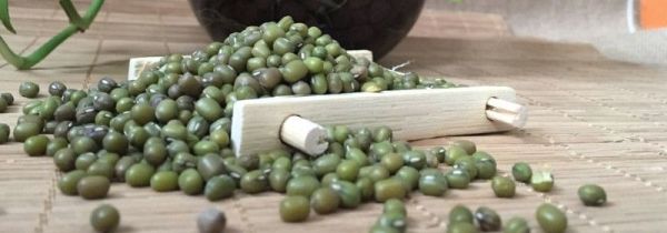 红薯和绿豆能一起吃吗