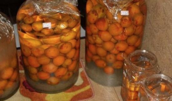 晒好的杏干怎样保存