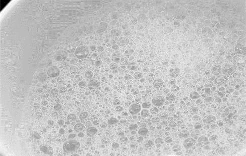 如何驱赶家中蟑螂？