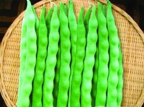 秋冬天如何保存豆角