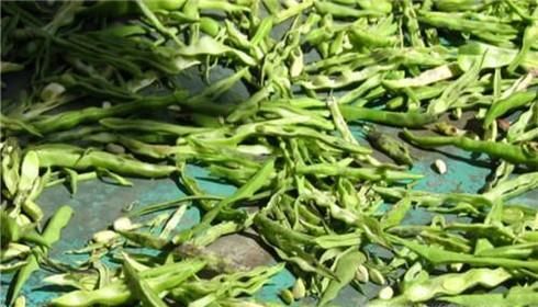 秋冬天如何保存豆角