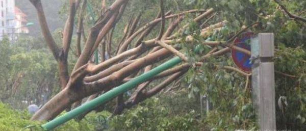 台风来了，我们要注意些什么？