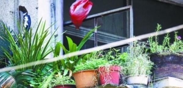 台风来了，我们要注意些什么？