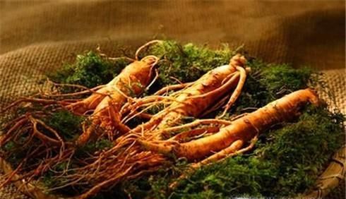 人参、红参、西洋参的区别