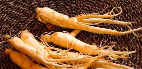 人参、红参、西洋参的区别