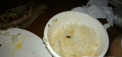 在饭店吃饭吃到苍蝇怎么办