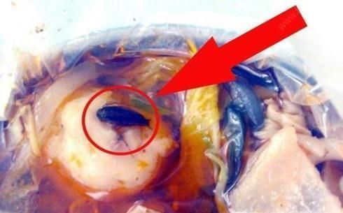 在饭店吃饭吃到苍蝇怎么办