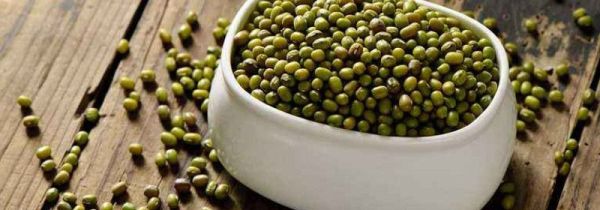 绿豆和黄豆可以一起打豆浆吗