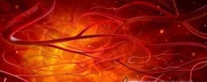 疏通血管的食物有哪些