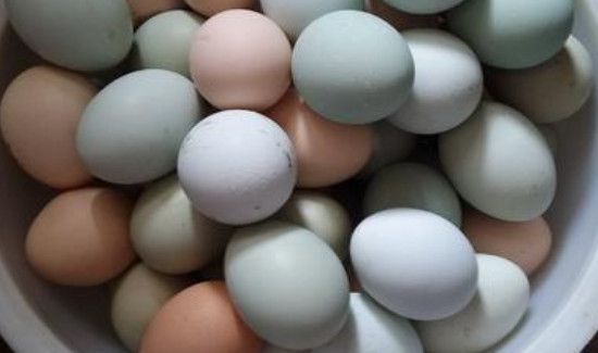 鸡蛋壳发霉能洗掉还能吃吗