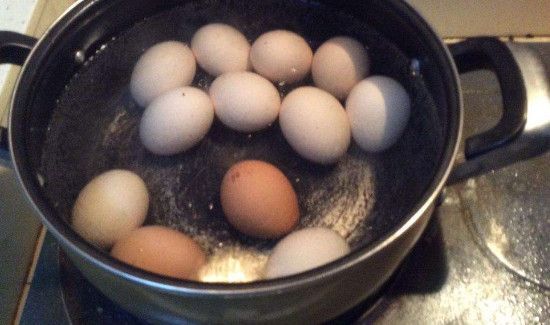 玉米跟鸡蛋能一起吃吗