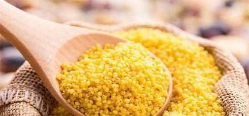 黄小米有哪些功效