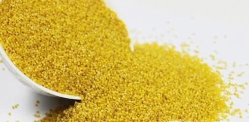 黄小米有哪些功效