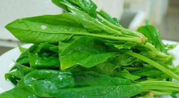 秋季几种必吃的应季蔬菜