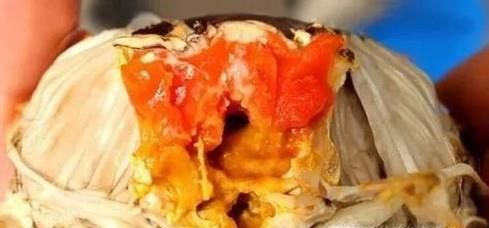 怎么分辨螃蟹的雌雄