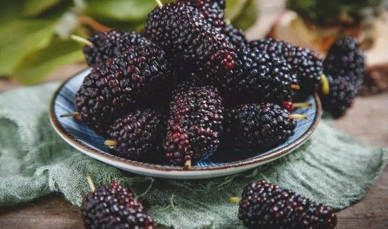 绿豆芽不能和什么一起吃