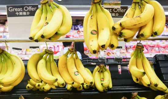 绿豆芽不能和什么一起吃