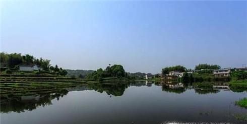 如何才能养好淡水虾