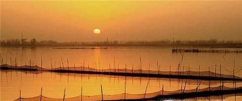 如何才能养好淡水虾