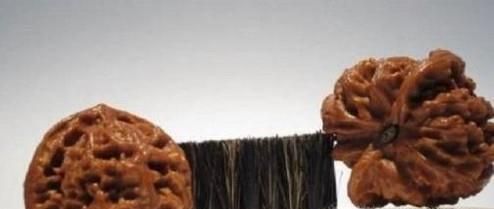 文玩核桃青皮开出来后发黑怎么办