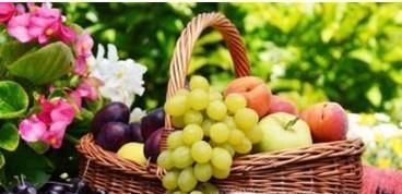 两种安全简单催熟水果的好办法