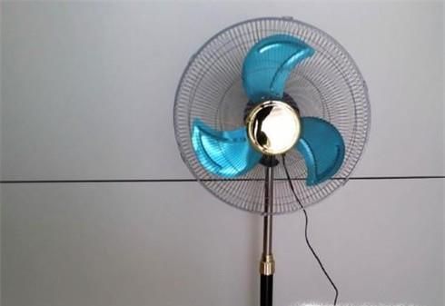 去除霉味、霉斑的小方法