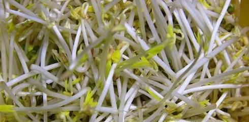 去除霉味、霉斑的小方法