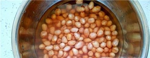 教你用A4纸种菜