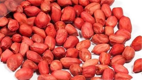 教你用A4纸种菜