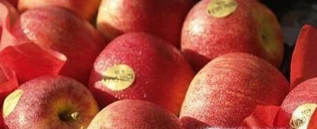 什么时候吃苹果最好？怎样挑选苹果？