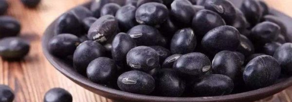 黑豆一天吃多少为宜