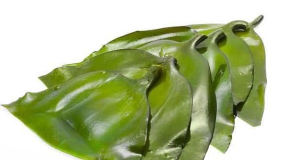 海带的营养价值 吃海带有哪些好处？