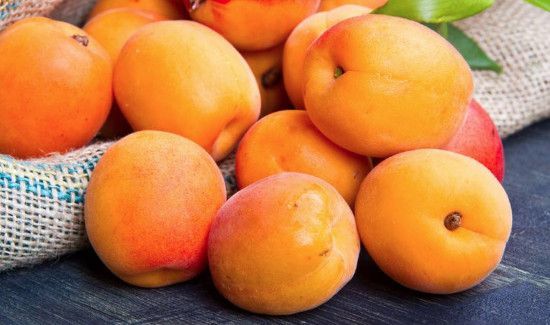杏子一天吃多少为宜