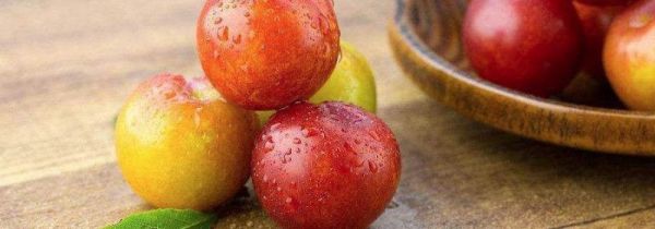 李子一天吃多少为宜