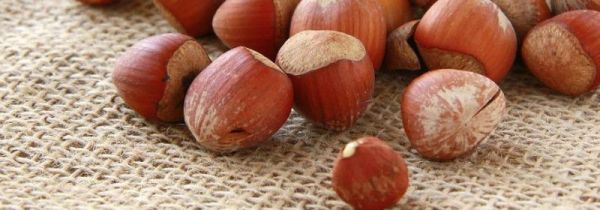 榛子一天吃多少为宜