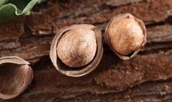 榛子一天吃多少为宜