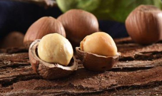 榛子一天吃多少为宜