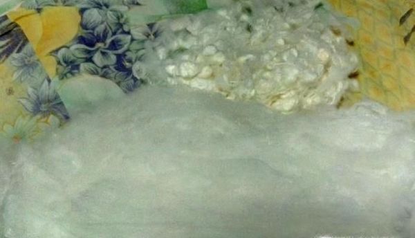 养大的蚕宝宝能做什么？