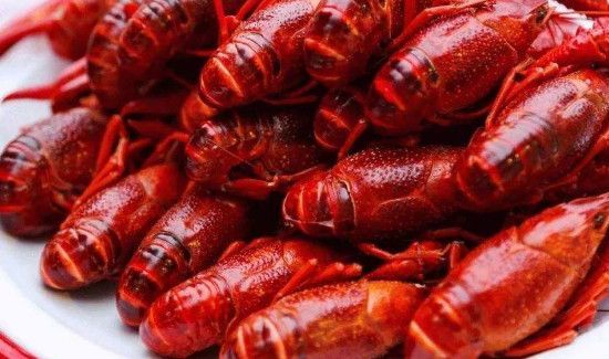 小龙虾哪里要剪掉