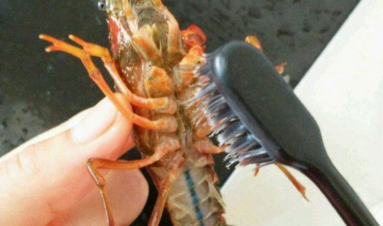 小龙虾太脏了怎么清洗