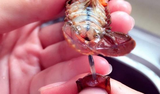 小龙虾太脏了怎么清洗