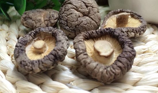 干香菇不泡能直接煮吗