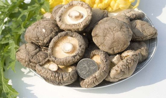 干香菇不泡能直接煮吗