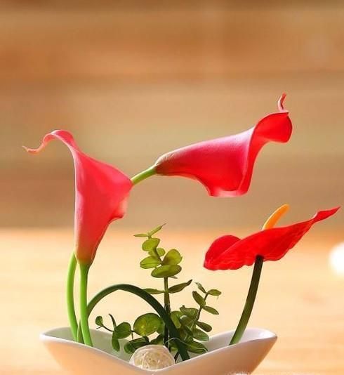 吉祥如意花怎么养