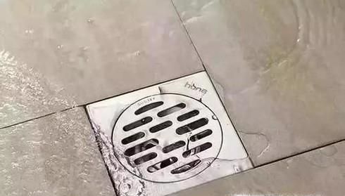 如何防止老鼠从下水道进入家中？