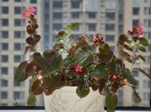 关于台风的防御措施