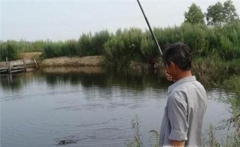 秋天如何钓鲤鱼